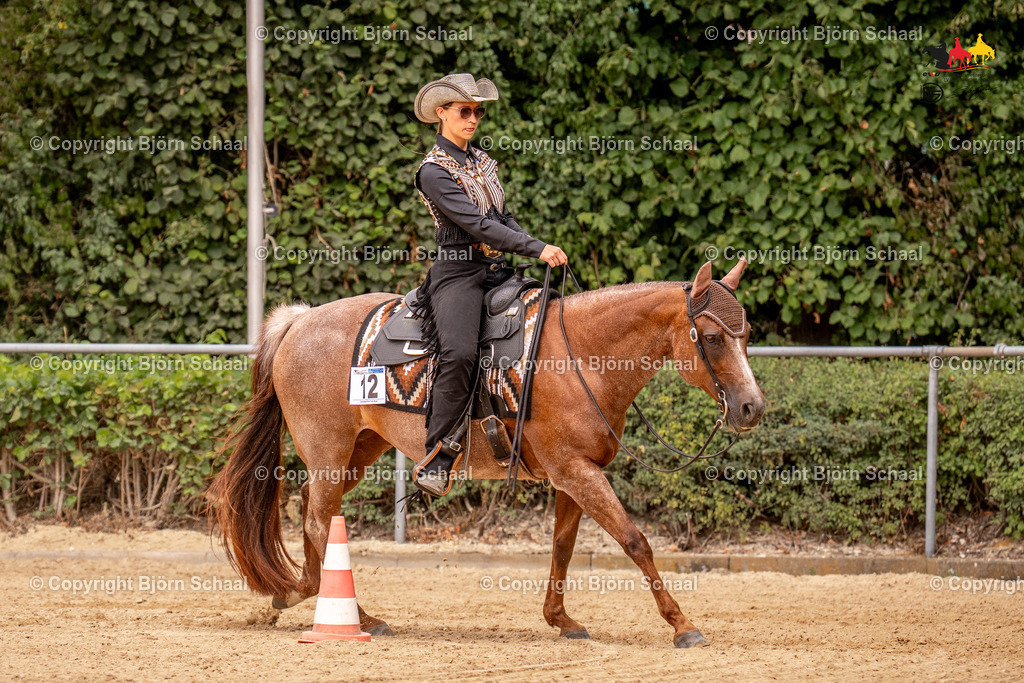 LMS06963 | BS-foto
