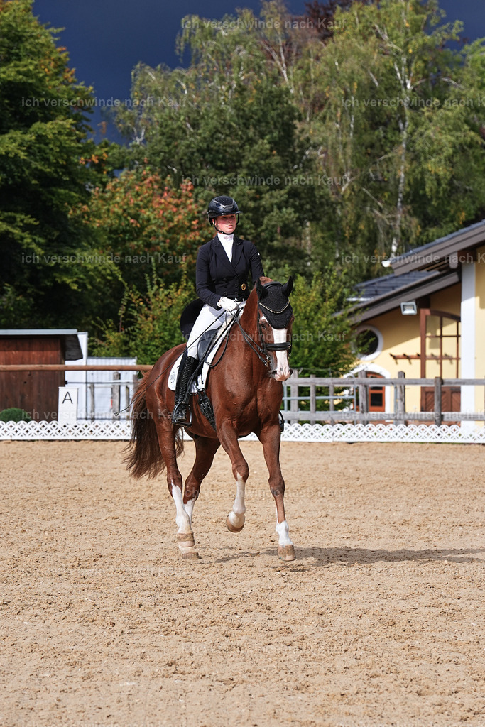 07-201-DRESSUR  S___  -Marixx-5172 | working equitationturnier fotograf videograf stoibphotography marixx film working equitation deutschland reitsport turnierfotografie eventfotografie equestrian events
