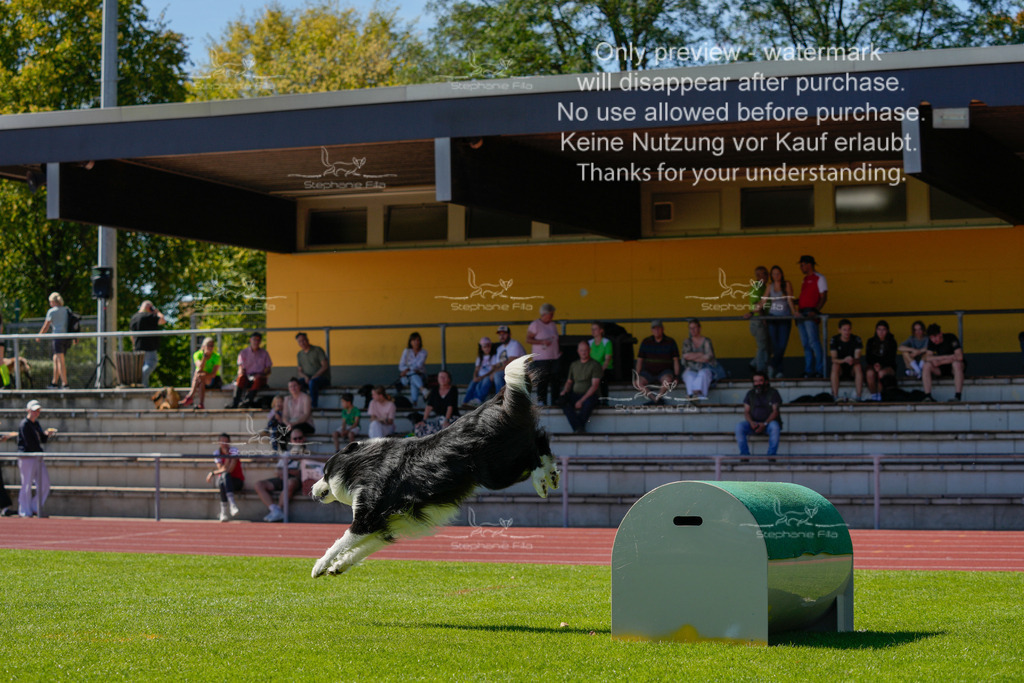 Sonntag_VK Hindernis (267 von 671) | stephaniefillaphotographie - Realisiert mit Pictrs.com
