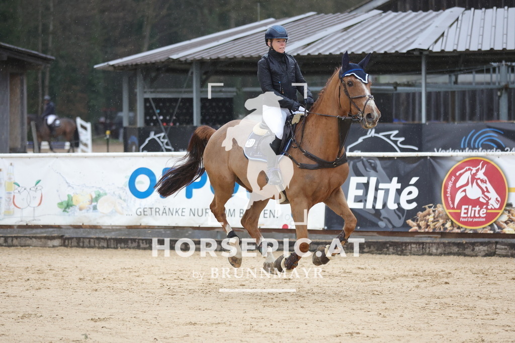 0P6A9834 | Willkommen bei Brunnmayr - Design & Fotografie – Ihrem Spezialisten für Reitturniere und Pferdeveranstaltungen in Oberösterreich, Salzburg und Bayern! Seit über 17 Jahren sind wir leidenschaftlich dabei.