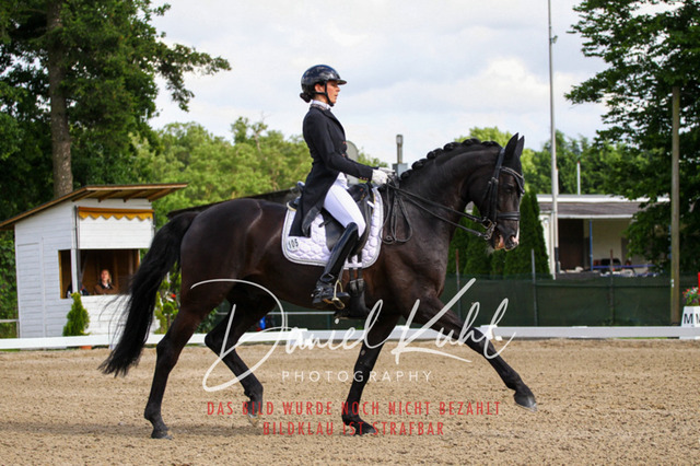 DKP41528 | Turnierfotos kaufen im Webshop von Daniel Kuhl Photography – entdecke professionelle Reitsportfotos aus Turnieren & Events. Hochwertige Turnierbilder online bestellen & sichern. Jetzt Fotos von Reitsportturnieren kaufen!