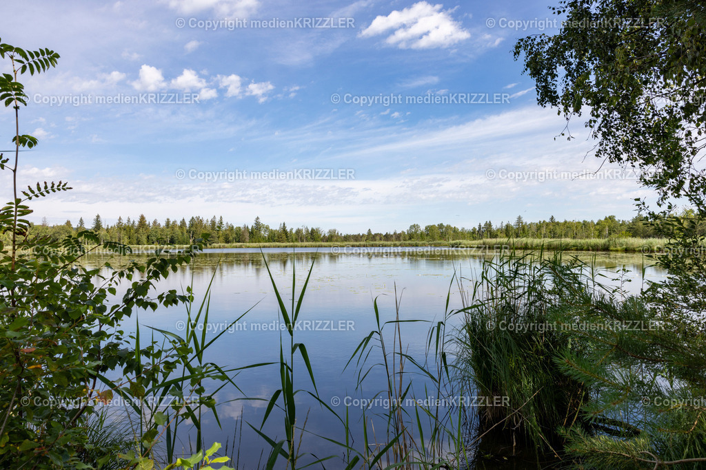 _J3A5388 | medienkrizzler - Realisiert mit Pictrs.com