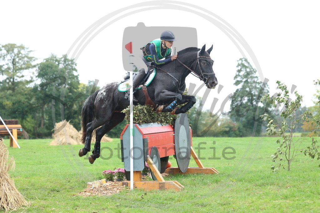 994A3267 | sabrinanicolaifotografie - Realisiert mit Pictrs.com