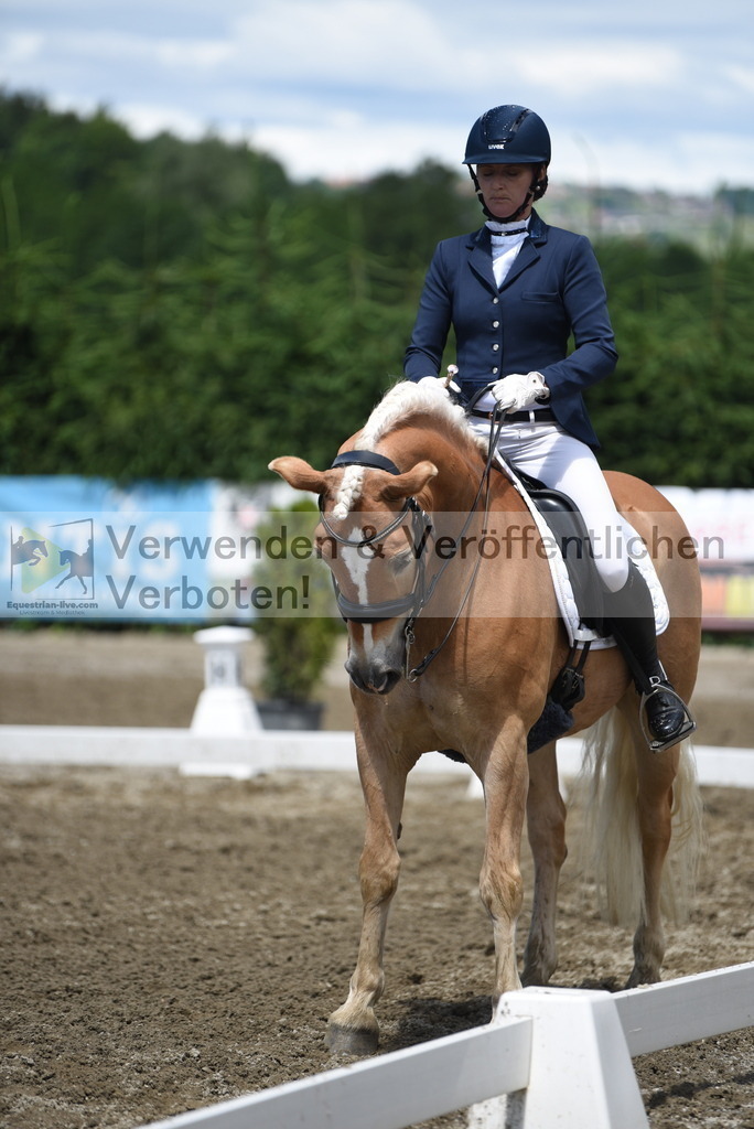 DSC_1235 | equestrian-live-com