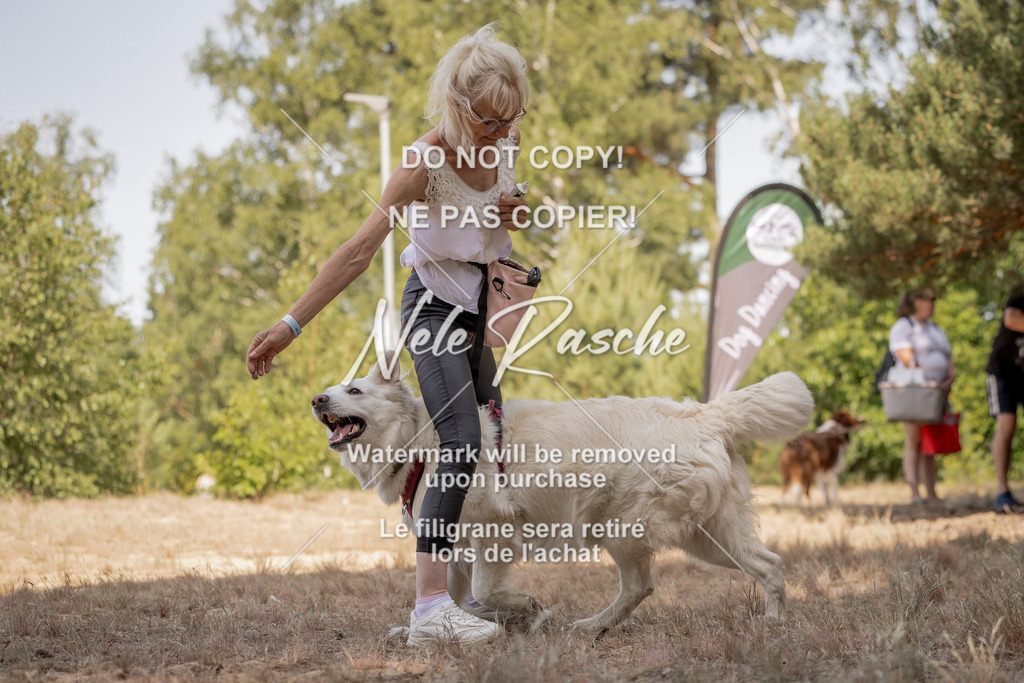 nelerasche_soDD2_214 | nelerasche