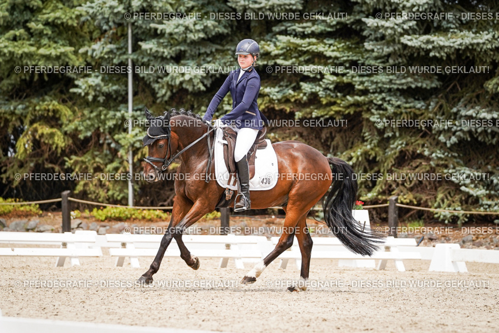 DSC04295 | Pferdegrafie