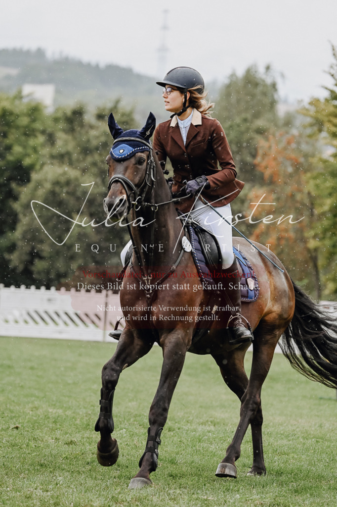 DSC_6929 | Pferde- und Turnierfotografie in Westsachsen. Pferdeportraits, Auftragszeichnungen und intuitive Kunst.