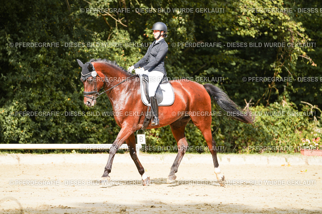 DSC02196 | Pferdegrafie