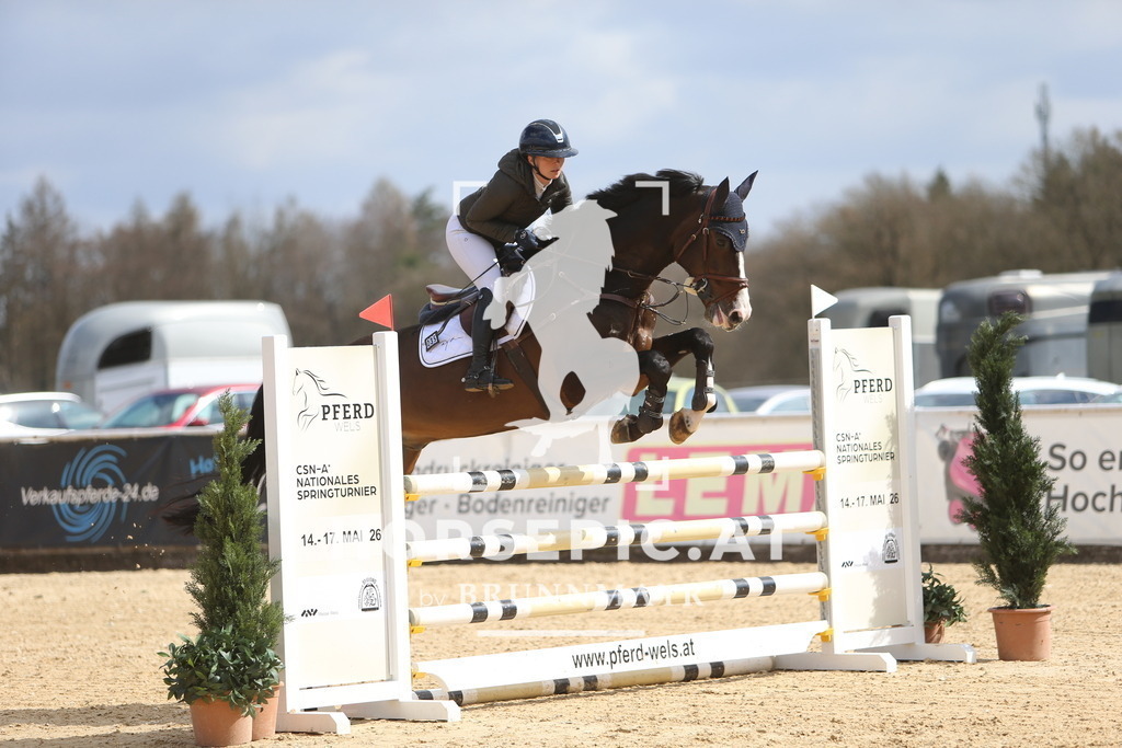 DL2Q9419 | Willkommen bei Brunnmayr - Design & Fotografie – Ihrem Spezialisten für Reitturniere und Pferdeveranstaltungen in Oberösterreich, Salzburg und Bayern! Seit über 17 Jahren sind wir leidenschaftlich dabei.