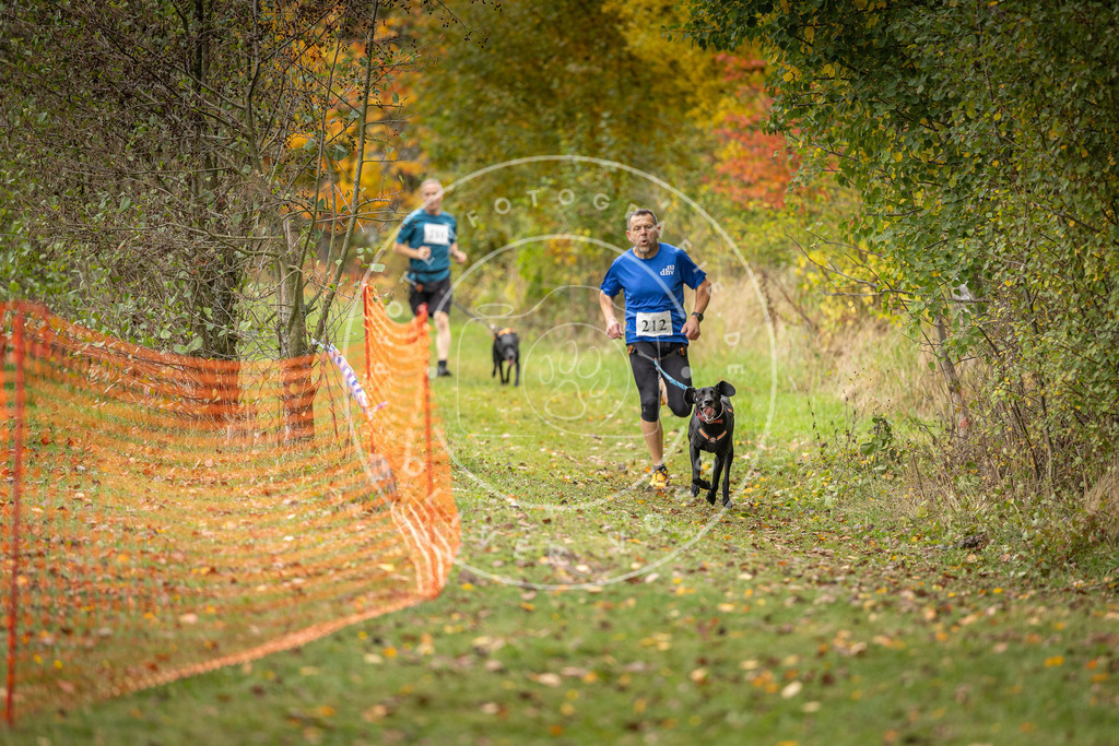 Pfotenfotografie_DV3A3942 | Hundefotografie, Tierfotograf, Pfotenfotografie, Fotoshooting Hund, Hunde Portrait, Hundesport, Hundeportraits, Heideshooting, Hunde, Sportfotograf, Hundefotograf, Turnierhundsport, THS,  - Realisiert mit Pictrs.com