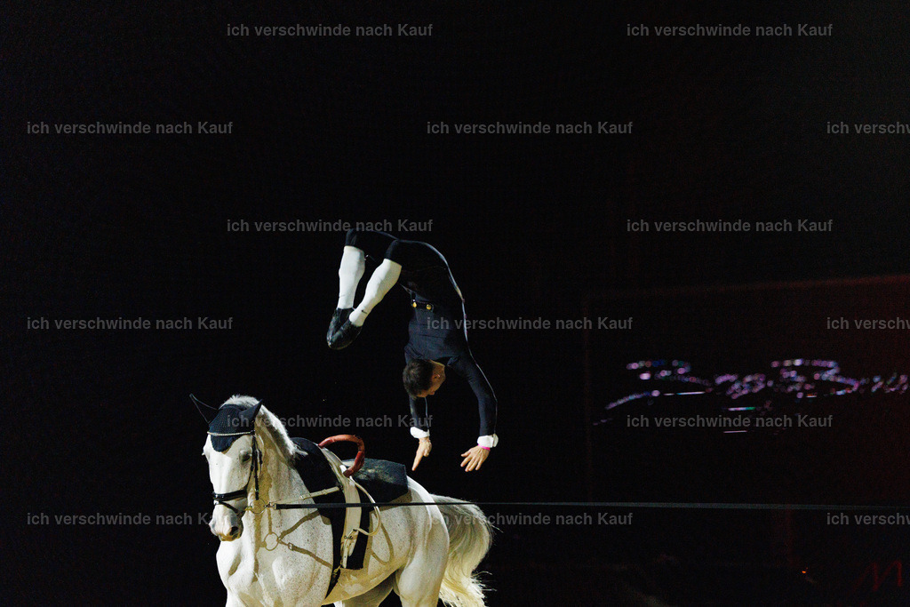 FHClassics-203 | working equitationturnier fotograf videograf stoibphotography marixx film working equitation deutschland reitsport turnierfotografie eventfotografie equestrian events