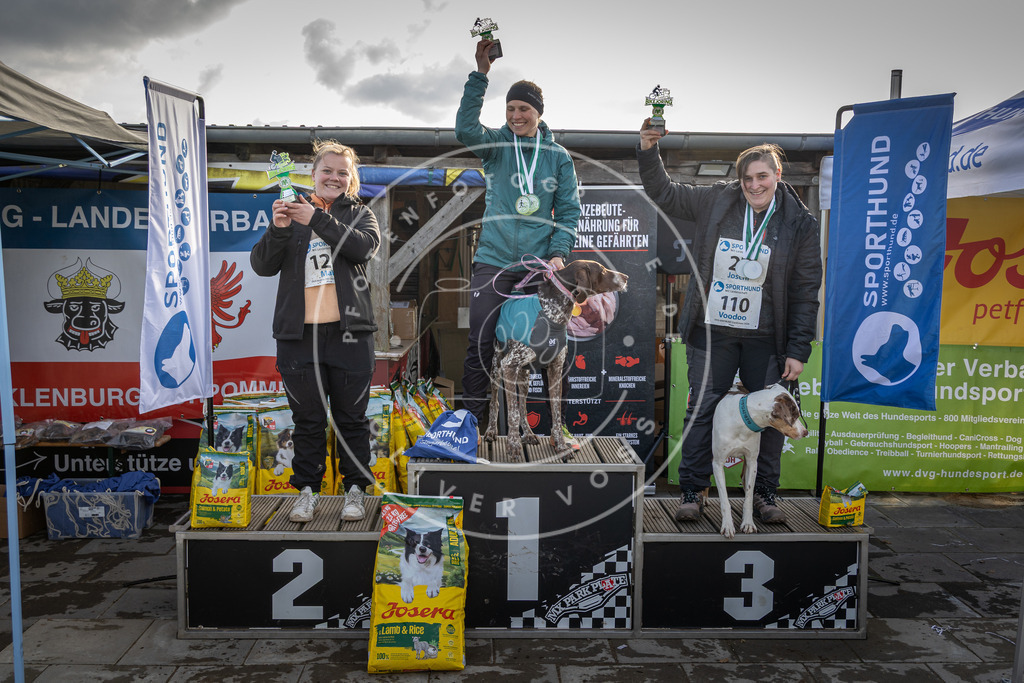 0L8A9200 | Hundefotografie, Tierfotograf, Pfotenfotografie, Fotoshooting Hund, Hunde Portrait, Hundesport, Hundeportraits, Heideshooting, Hunde, Sportfotograf, Hundefotograf, Turnierhundsport, THS,  - Realisiert mit Pictrs.com