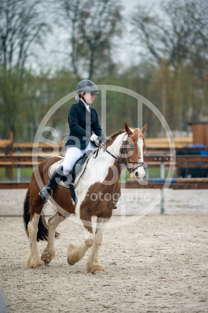 DSC_5046 | sattelsport - Realisiert mit Pictrs.com