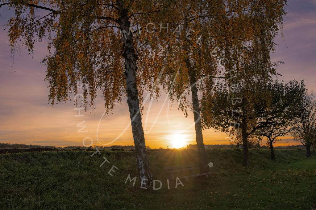 2025-11-04 Hemmingen Sonnenuntergang 002 | Schwotte Media - Realisiert mit Pictrs.com