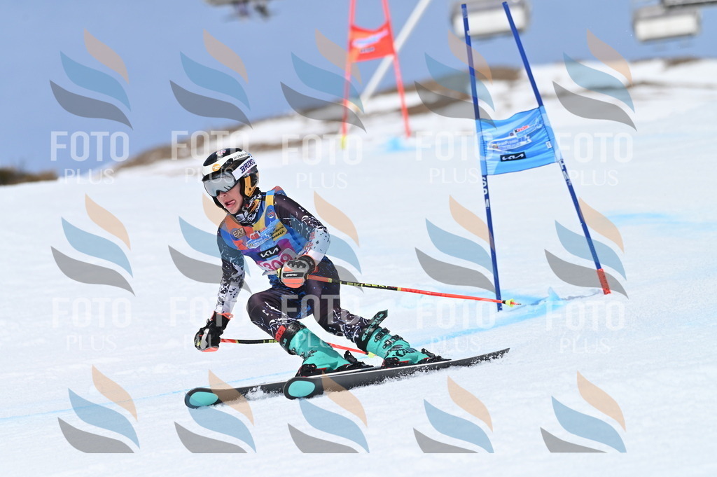 BGV_2930 | holidayphoto