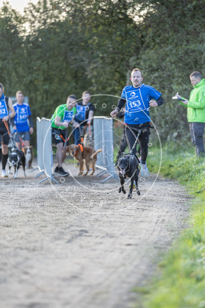 Pfotenfotografie.de_DV3A2697 | Hundefotografie, Tierfotograf, Pfotenfotografie, Fotoshooting Hund, Hunde Portrait, Hundesport, Hundeportraits, Heideshooting, Hunde, Sportfotograf, Hundefotograf, Turnierhundsport, THS, canicross - Realisiert mit Pictrs.com