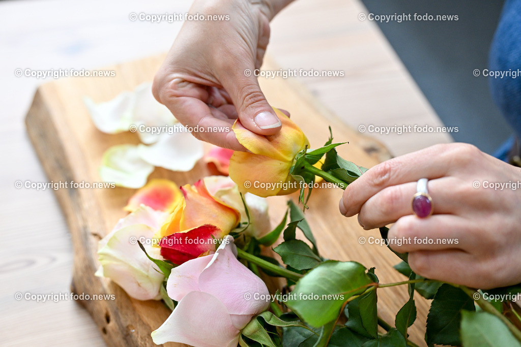 Doris Kern_ Kraeuter_ 03.07.2024-13 | 03.07.2024, Peilstein, AUT, Kraeuter, im Bild Doris Kern entblaettert Rosen