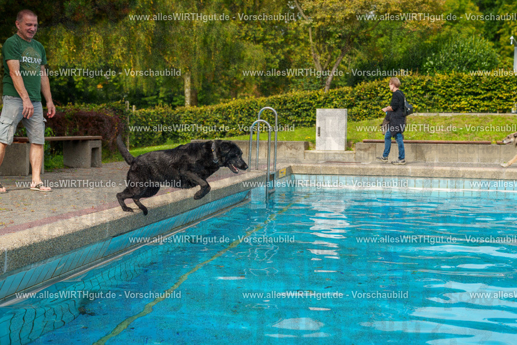 Hundeschwimmen_Grefrath_2026-allesWIRTHgut_Tierfotografie-11_28-7R503298 | Professionelle Tierfotografie in Mönchengladbach von Daniel Wirth (allesWIRTHgut). Liebevolle & natürliche Bilder von Hunden & Katzen für unvergessliche Erinnerungen.