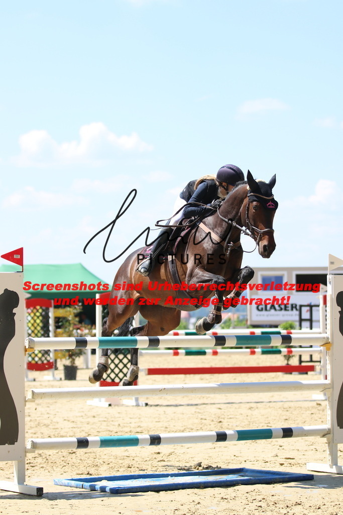 IMG_2483 | lmwpictures - Realisiert mit Pictrs.com