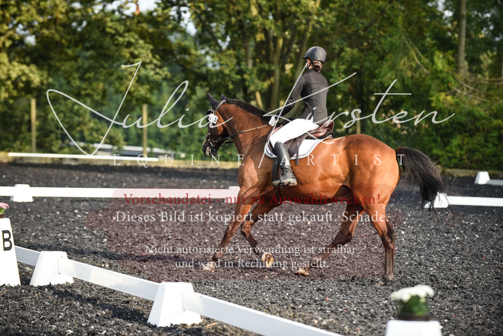 DSC_3478 | Pferde- und Turnierfotografie in Westsachsen. Pferdeportraits, Auftragszeichnungen und intuitive Kunst.