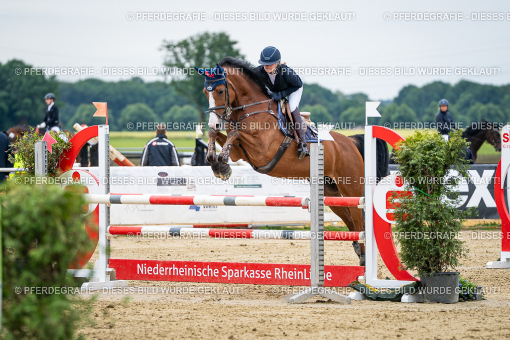 DSC05238 | Pferdegrafie