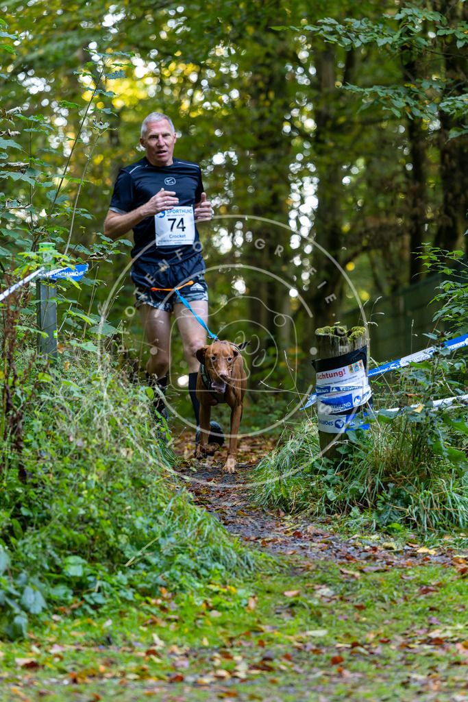 Pfotenfotografie_DV3A7421 | Hundefotografie, Tierfotograf, Pfotenfotografie, Fotoshooting Hund, Hunde Portrait, Hundesport, Hundeportraits, Heideshooting, Hunde, Sportfotograf, Hundefotograf, Turnierhundsport, THS,  - Realisiert mit Pictrs.com