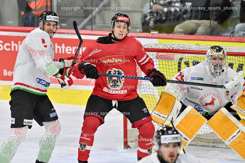 Österreich vs. Ungarn 14.12.2023 | Österreich vs. Ungarn 14.12.2023, Österreich vs. Ungarn  am 14.12.2023 in Klagenfurt (Heidi Horten Arena), Austria, (Photo by Bernd Stefan)