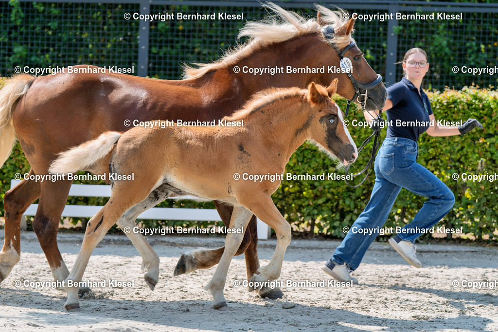 2A900008-2 | foto-team-bernhard - Realisiert mit Pictrs.com