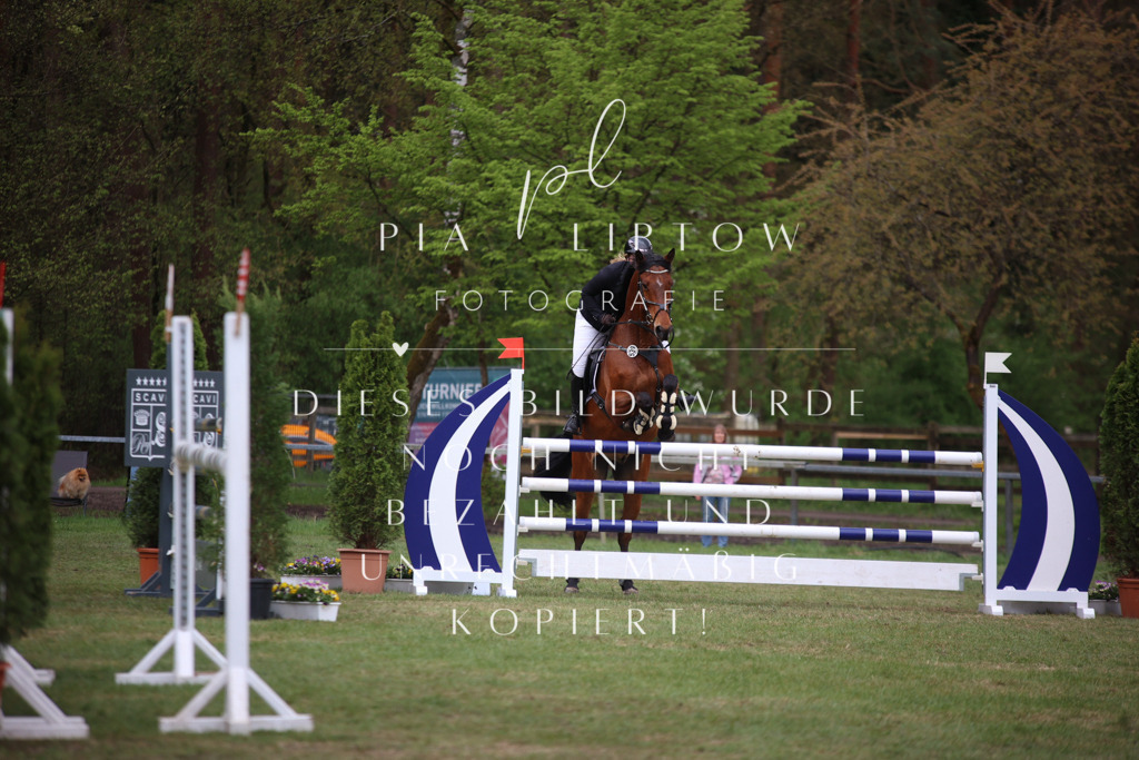 IMGT1768 | pl-fotografie