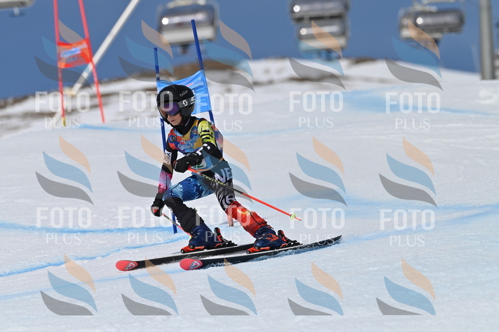 BGV_6587 | holidayphoto