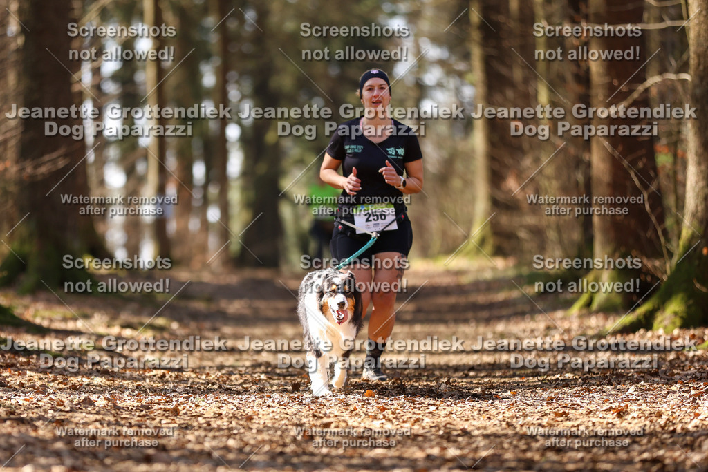 Dog Paparazzi - VCC26-1210 | Dog Paparazzi Jeanette Grottendiek Fotografie & Videografie - Realisiert mit Pictrs.com
