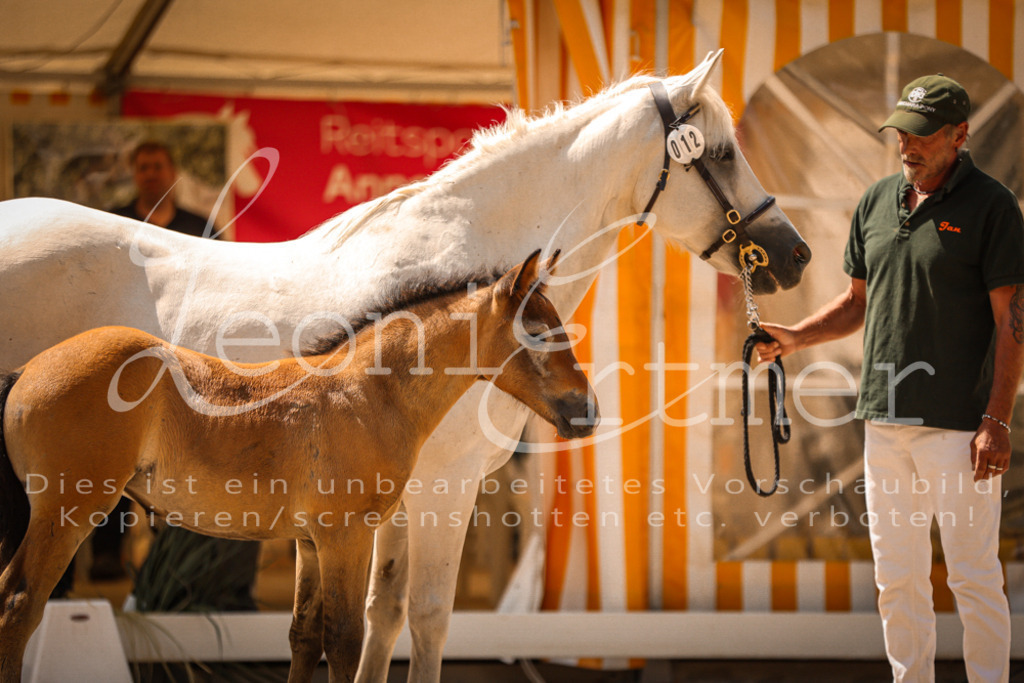 02.DoSR00147 | Leoni Ertmer Photography - Realisiert mit Pictrs.com