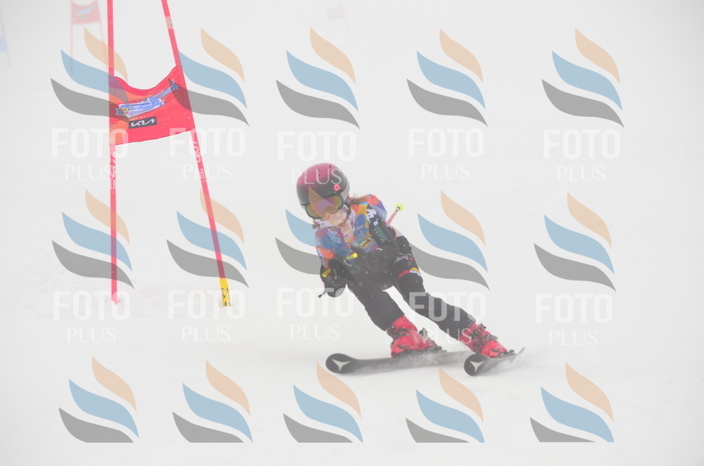 C1294 | holidayphoto