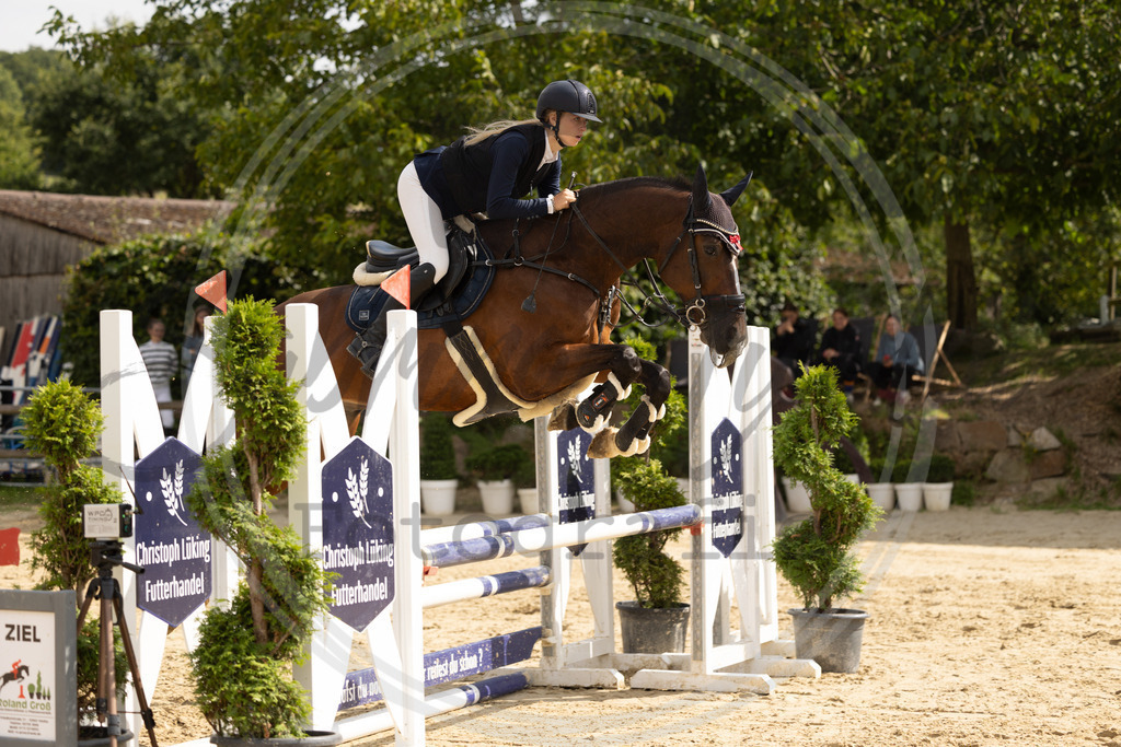 994A7828 | sabrinanicolaifotografie - Realisiert mit Pictrs.com