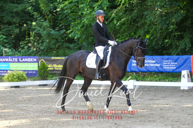 DKP42251 | Turniersportfotografie; Pferdefotografie; Dressurfotografie