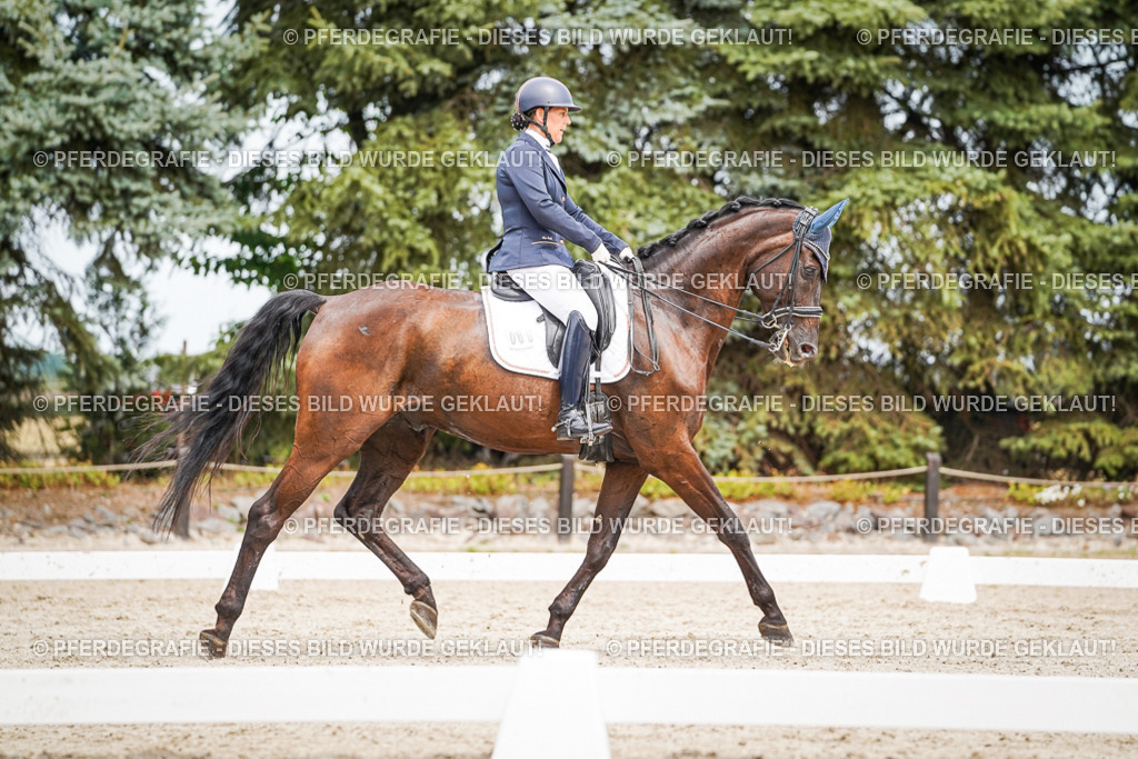 DSC05391 | Pferdegrafie