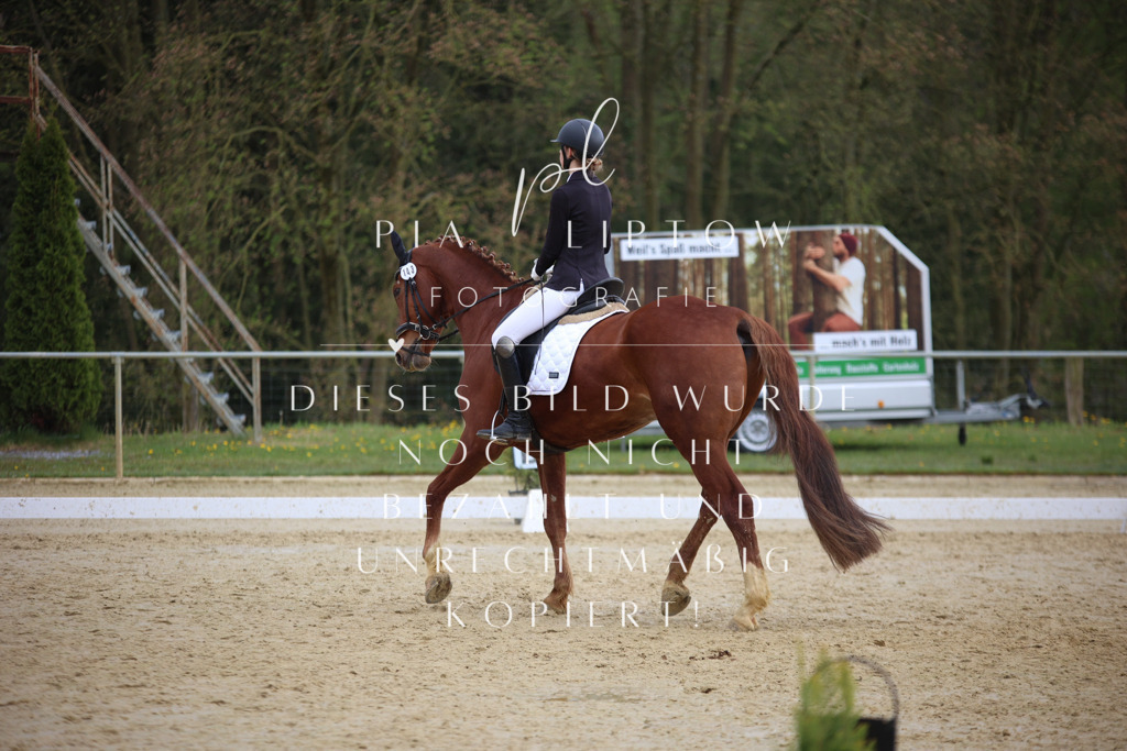 IMGT7304 | pl-fotografie