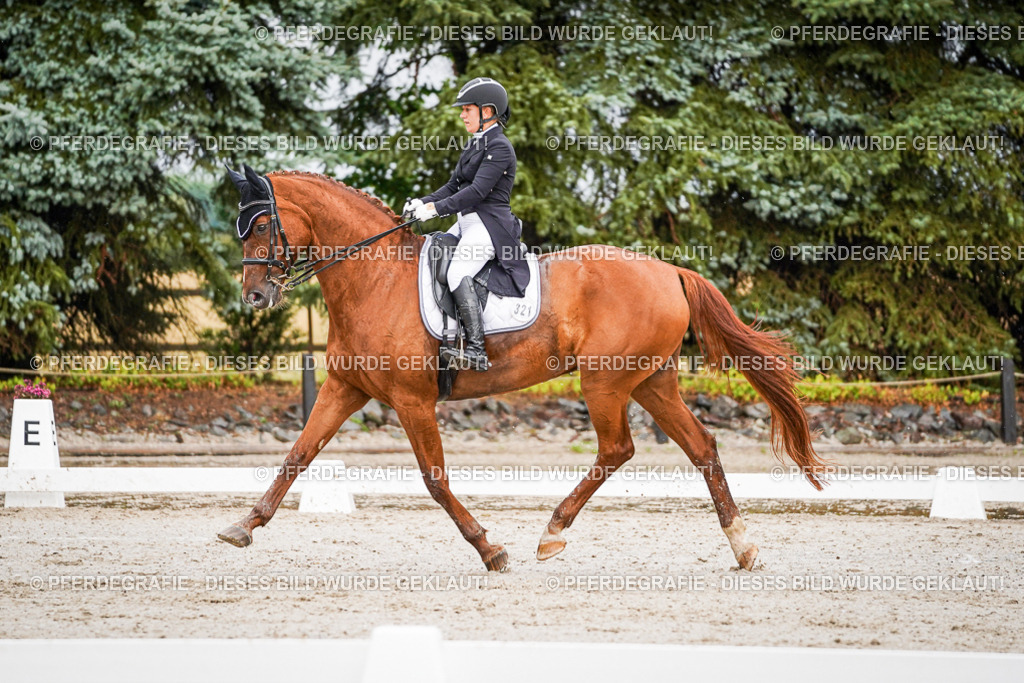 DSC09465 | Pferdegrafie