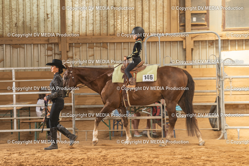 NID03264 | dv-media-shop - Realisiert mit Pictrs.com