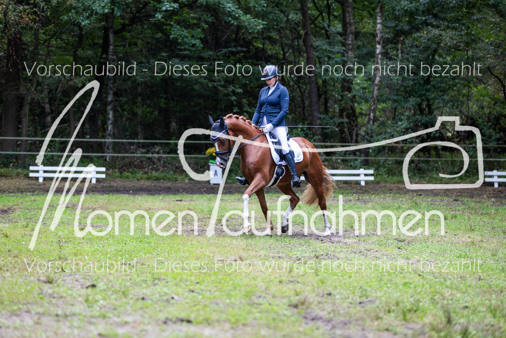 HB-A-Dressur-145 | MomenTaufnahmen Pferdesportfotos