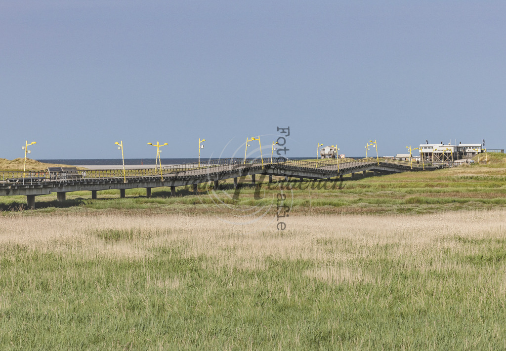 _X0A6303bea | Nordsee,Urlaub,Sonne,Meer,Sand,Pfahlbauten,Ording,Böhl,Dorf,Bad,Kite,Drachen,Wattenmeer, Erholung,Schleswig-Holstein,SPO,Sankt Peter, Westerheversand, Leuchtturm Westerhever, Leuchtturm Böhl, 54 Grad , Strandbar, Silbermöwe - Realisiert mit Pictrs.com