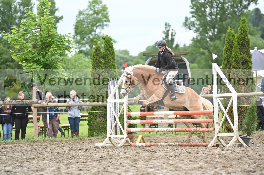 DSC_0599 | equestrian-live-com
