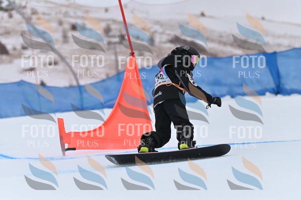 BGV_5341 | holidayphoto