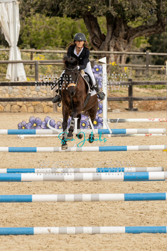 IMG_4548 | s-jay-photography - Realisiert mit Pictrs.com