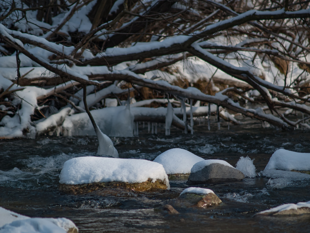 PSX_20230124_232543 | OLYMPUS DIGITAL CAMERA - Realisiert mit Pictrs.com