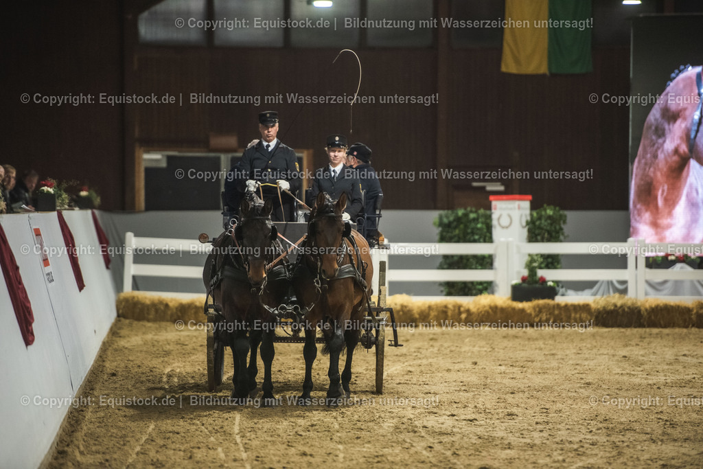 20240302_Hengstvorstellung_Marbach_TOMsPiC_0736 | equistock
