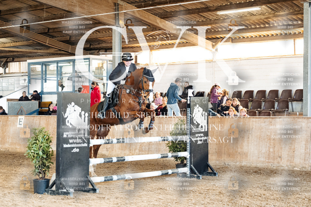 CK905039 | Turnierfotografie Pferdefotografie Trier Rheinland-Pfalz Pferdesport Reitsport Tierfotografie Sportfotografie Pferdevideo Pferdevideografie Equestrianvideography equestrianphotography  - Realized with Pictrs.com