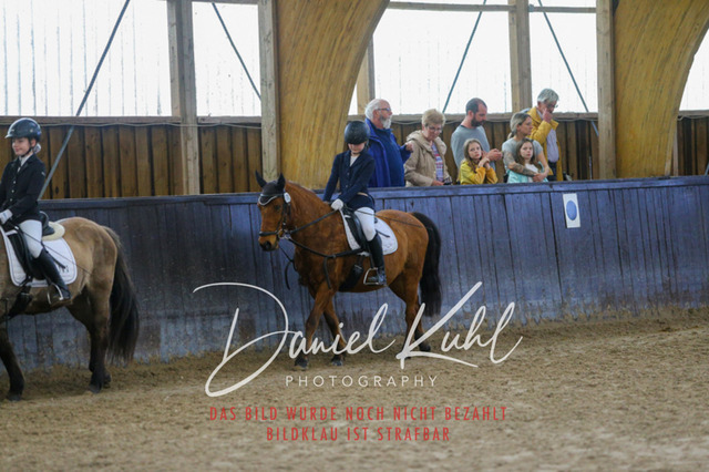 IMG_1394 | Turniersportfotografie; Pferdefotografie; Dressurfotografie