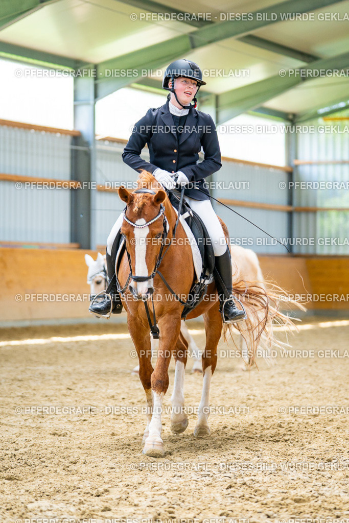 DSC09693 | Pferdegrafie