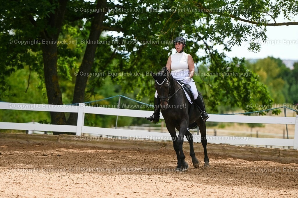 20230715_05_Dressurprüfung Kl.A++_0178 | equistock